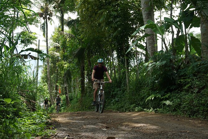 Full Day Kintamani Cultural and Nature Cycling Tour - Tour Overview