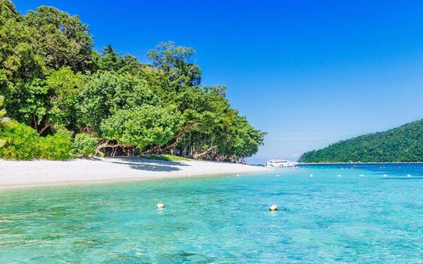 Full-Day Koh Lipe 5 Points Snorkeling (East Zone) With Lunch - Questions You May Have