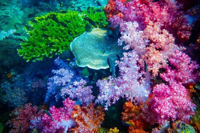 Full-Day Koh Lipe 7 Islands Snorkeling Experience With Lunch - Questions