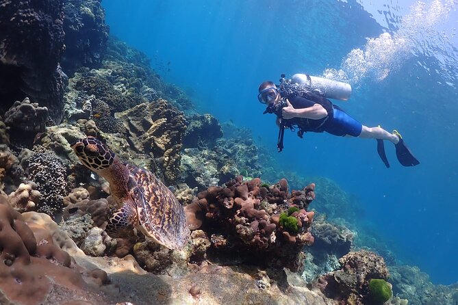 Full-Day Koh Phi Phi Scuba Diving Course From Phuket - Common Questions