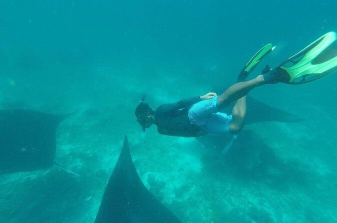 Full-Day Komodo Island Boat Trip - Frequently Asked Questions