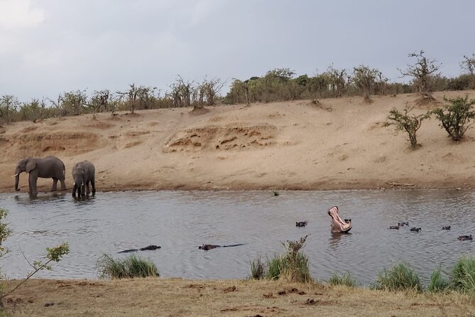 Full Day Kruger National Park Game Drive - Inclusions and Services Provided