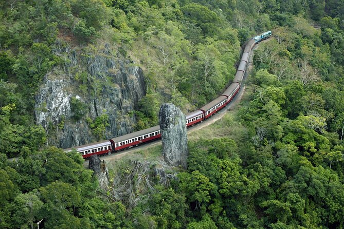 Full-Day Kuranda Experience  - Queensland - Discounted Wildlife Attractions