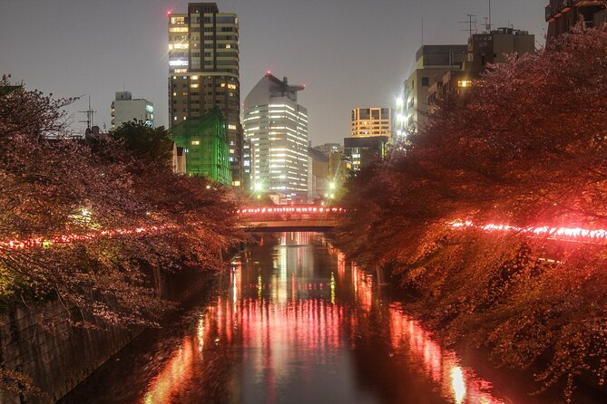Full Day Kyoto and Nara Guided Tour - Additional Information