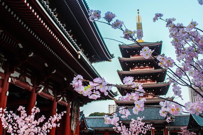 Full Day Kyoto and Nara Guided Tour - Common Questions