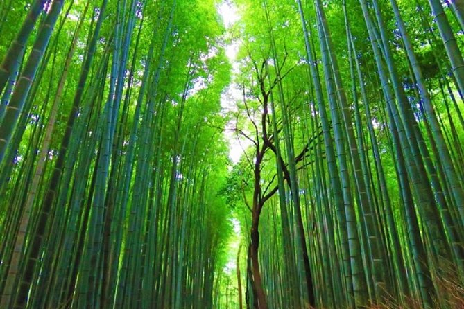 Full Day Kyoto Chartered Taxi Tour - Convenient and Flexible Transportation