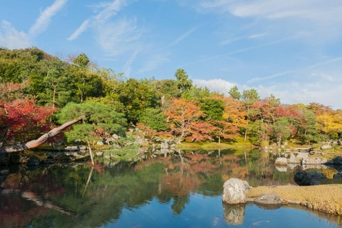 Full Day Kyoto Chartered Taxi Tour - The Sum Up