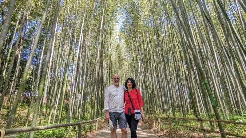 Full-Day Kyoto Walking Tour: Most Iconic Landmarks & Monkeys - Good To Know