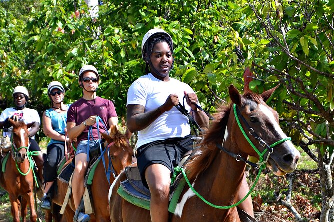 Full-Day La Hacienda Dune Buggy With Zipline & Horseback Activity - Activity Directions and Logistics