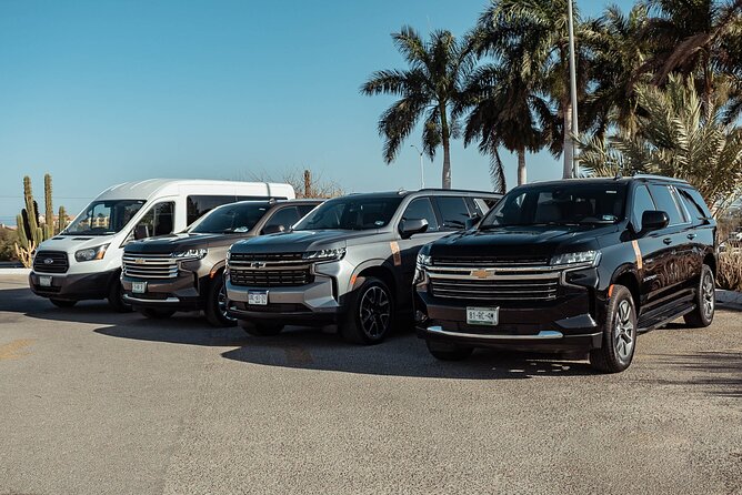 Full-Day La Paz Private Tour From Los Cabos With Cerritos Beach or Todos Santos - Pricing and Booking