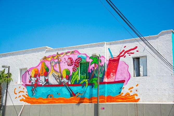 Full-Day La Paz Private Tour From Los Cabos With Cerritos Beach or Todos Santos - Highlights of Cerritos Beach