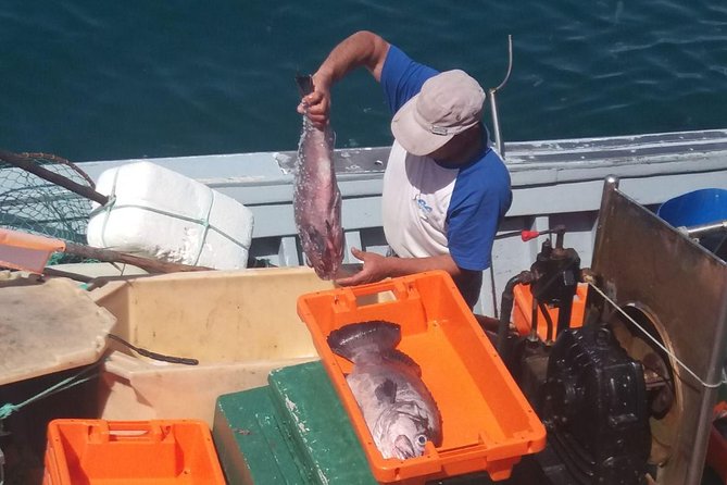 Full-Day Lagos and Sagres Tour From Albufeira - Tour Inclusions