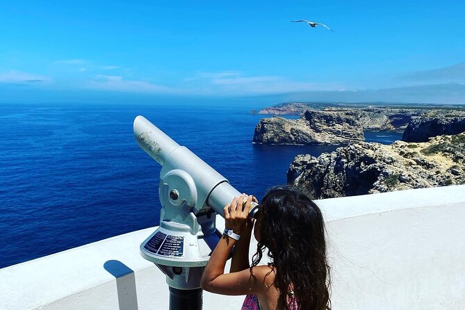Full-Day Lagos and Sagres Tour From Albufeira - Reviews