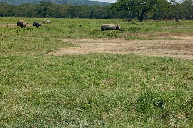 Full-Day Lake Nakuru National Park Private Tour From Nairobi - Good To Know