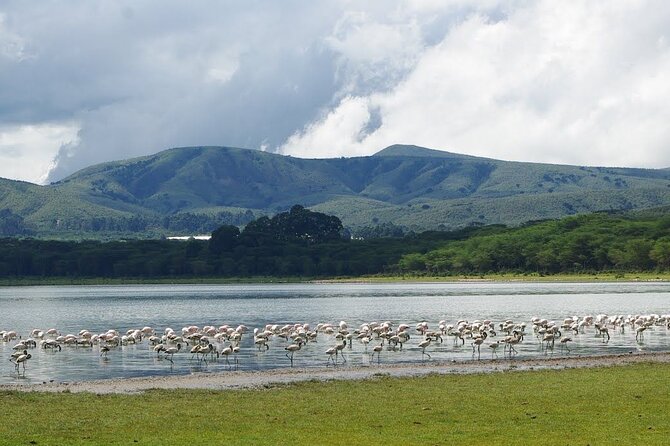 Full-Day Lake Nakuru National Park Private Tour From Nairobi - Additional Information