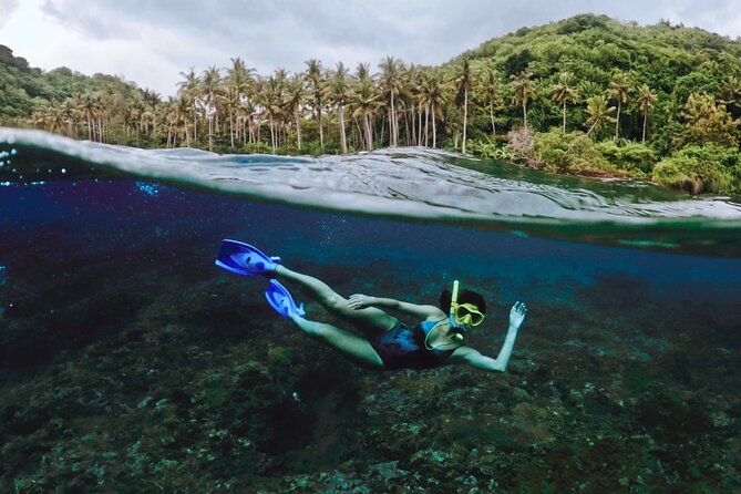 Full Day Land and Sea Tour to Nusa Penida With 4 Snorkeling Spots - Tour Highlights
