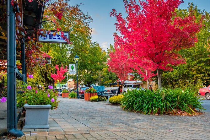 Full-Day Langhorne Creek Wine Tour Via Hahndorf - Wine Tasting Experiences