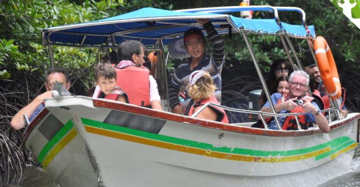 Full-day Langkawi Mangrove Safari Boat Tour - Activity Details