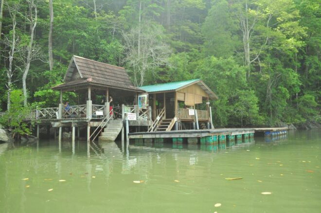 Full-day Langkawi Mangrove Safari Boat Tour - Important Information