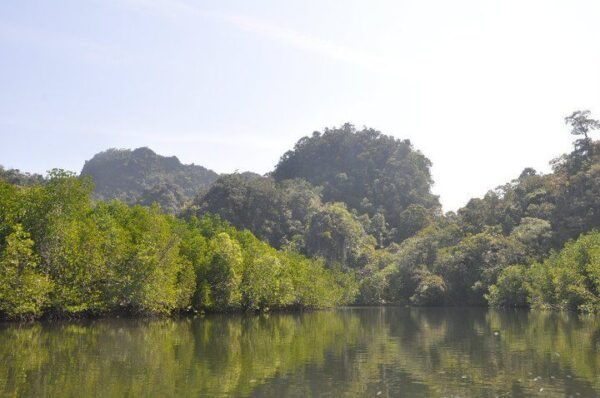 Full-day Langkawi Mangrove Safari Boat Tour - The Sum Up