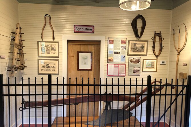 Full-Day Laura Plantation & Large Airboat Swamp Tour With Pick up - Cancellation Policy