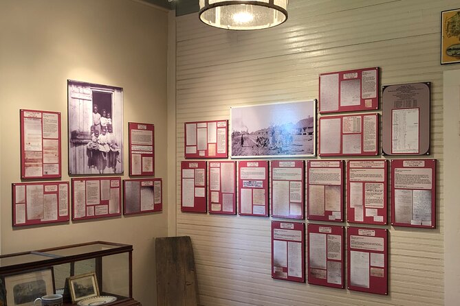 Full-Day Laura Plantation & Large Airboat Swamp Tour With Pick up - Reviews and Ratings