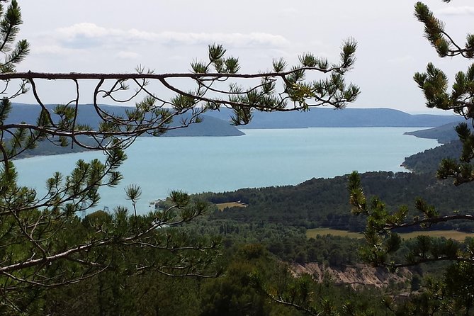 Full Day Lavender Tour Luberon and Sault - Cancellation Policy