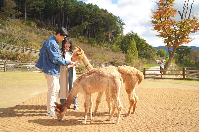 Full-Day Legoland and Alpaca World Guided Tour From Seoul - Terms and Conditions