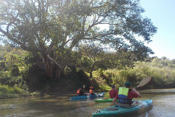 Full-Day Leisure River Kayaking Into Mae Taeng Forest Reserve From Chiang Mai - Meeting and Pickup