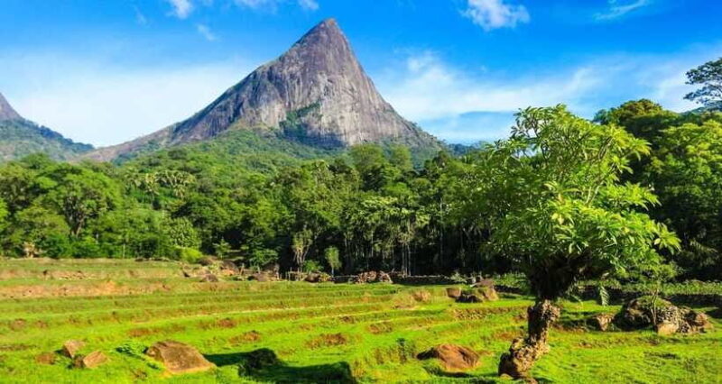 Full Day Leopard Safari at Yala and Traditional Curd Tasting - Practical Tips for Making the Most of Your Safari