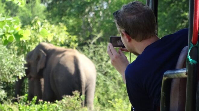 Full-Day Leopard Safari at Yala With Picnic Lunch - Highlights of Yala National Park