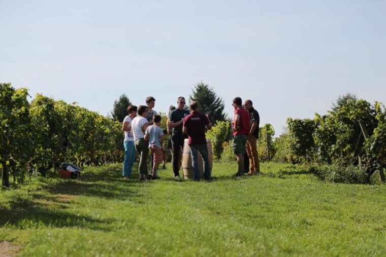 Full Day Loire Valley Wine Tour With Lunch: Vouvray & Chinon - Highlights of the Tour