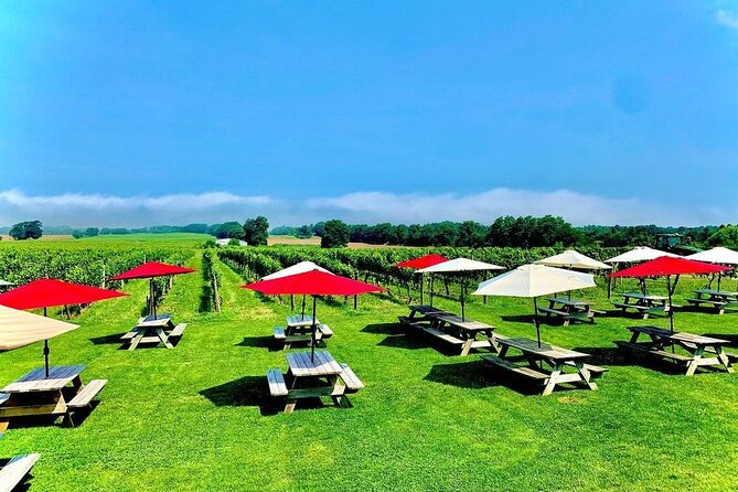 Full-Day Long Island Wine Tour From New York - Tour Highlights