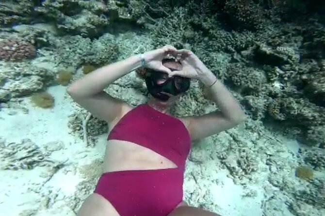 Full Day Looking for Dolphin House Sea Trip With Lunch - Hurghada - Inclusions and Policies