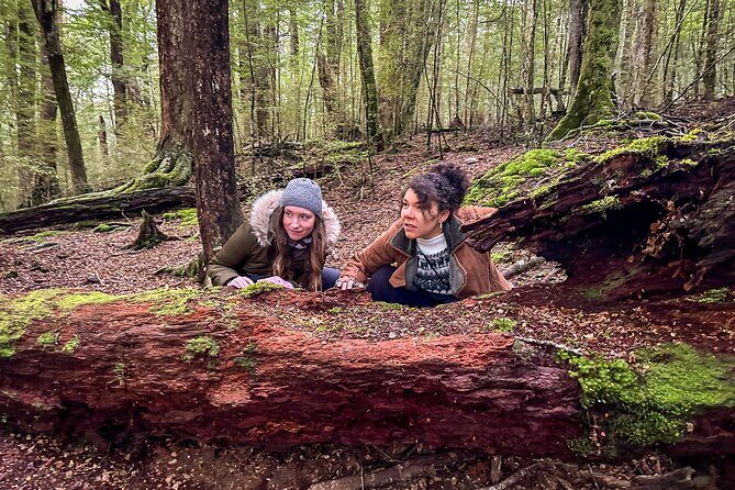 Full Day Lord of the Rings Mavora Lakes Adventure! - An In-Depth Look at the Mavora Lakes Adventure