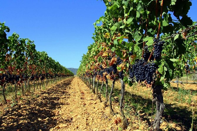 Full-Day Luberon Tour From Avignon Including Lunch - Additional Information
