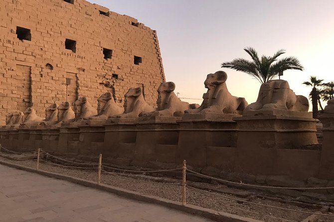 Full Day Luxor East & West Bank With & Felucca Ride on the Nile - What To Expect