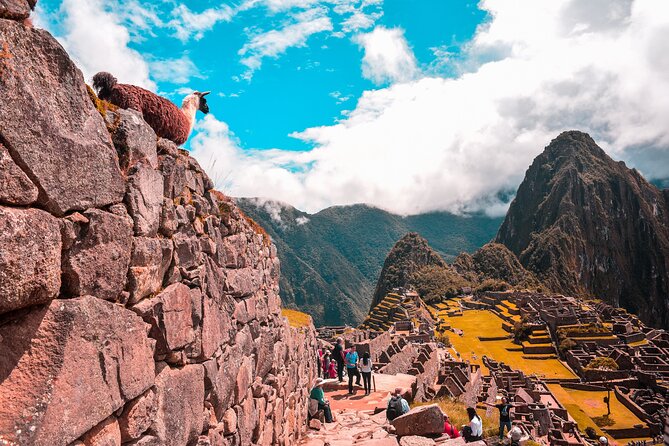 Full-Day Machu Picchu Guided Tour From Cusco - Meeting Point and Pickup Points