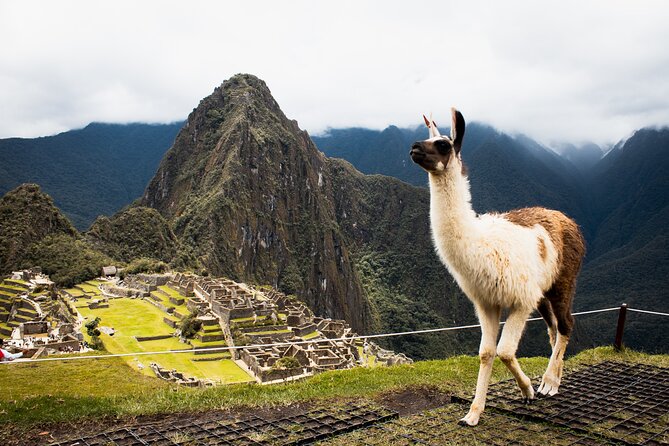 Full-Day Machu Picchu Guided Tour From Cusco - Reviews, Questions, and Additional Information