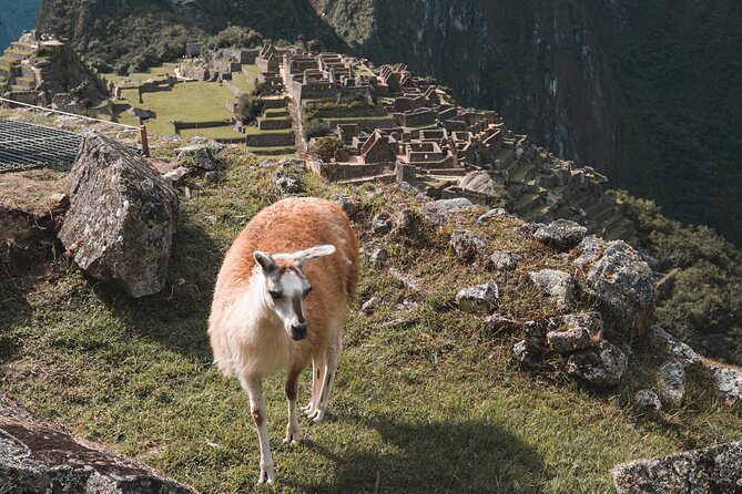 Full-Day Machu Picchu Guided Tour From Cusco - Directions