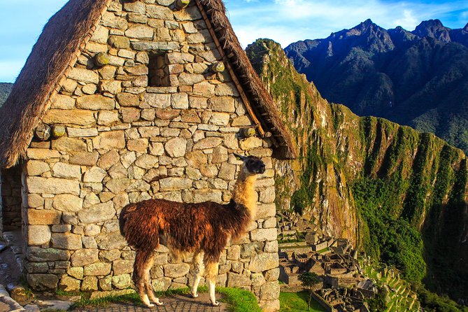 Full Day - Machu Picchu Tour by Train - Tips for a Successful Tour