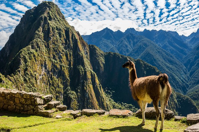 Full-Day Machu Picchu Tour From Cusco - Common Questions