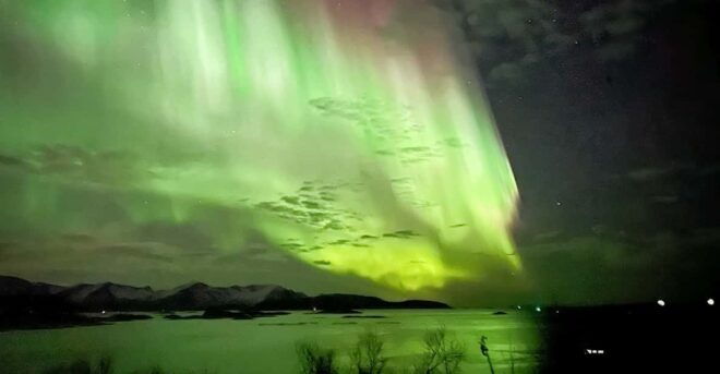 Full Day Magic of the Arctic Lights in Tromso - Important Details