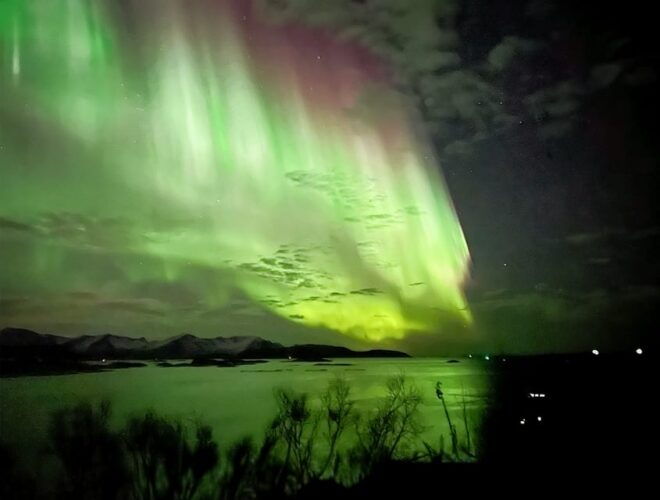 Full Day Magic of the Arctic Lights in Tromso - Exploring the Arctic Nature