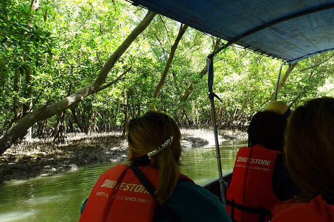 Full Day Mangrove Forest Conservation Centre - Guided Tours and Educational Programs