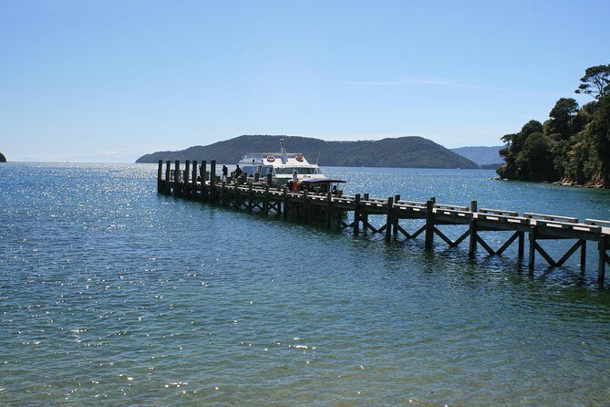 Full-Day Marlborough Catamaran Cruise with Wine Tour and Lunch - Good To Know