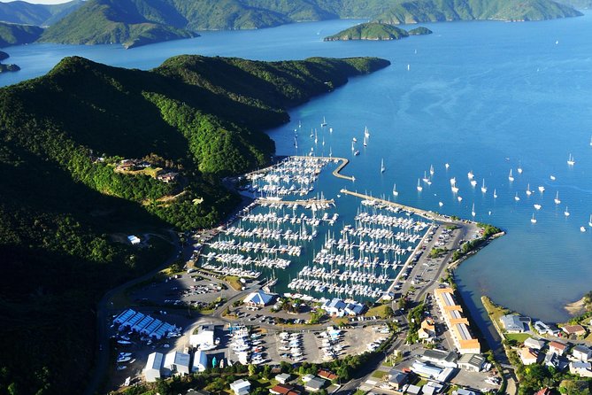 Full-Day Marlborough Scenic and Wine Tour From Blenheim - Booking and Pricing