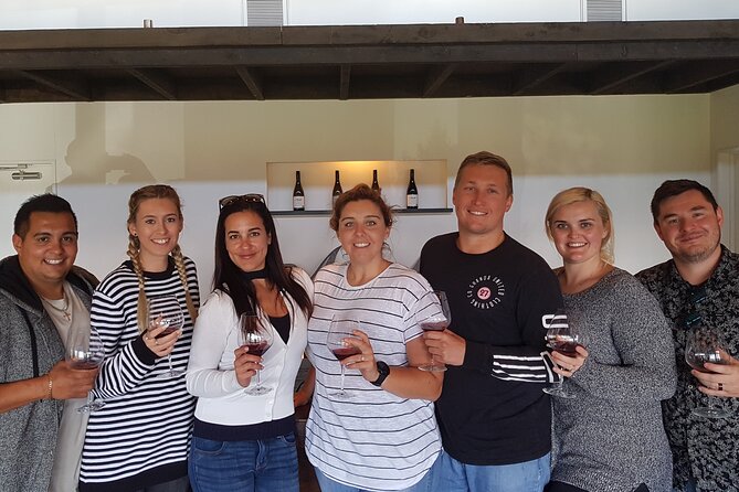 Full-Day Marlborough Wine Region Bike Hire - Overview of Marlborough Wine Region