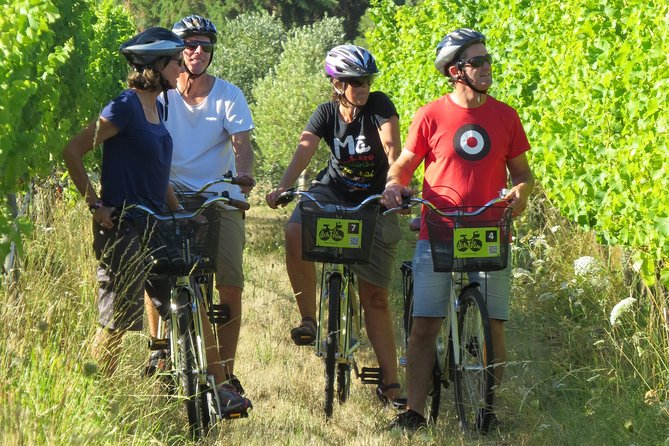 Full-Day Marlborough Wine Region Bike Hire - Inclusions and Services Provided