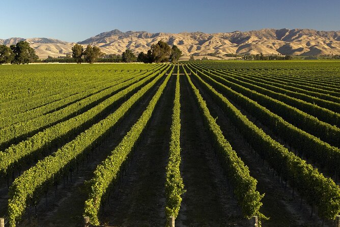 Full-Day Marlborough Wine Tour From Blenheim - Tasting Reserve-Grade Wines